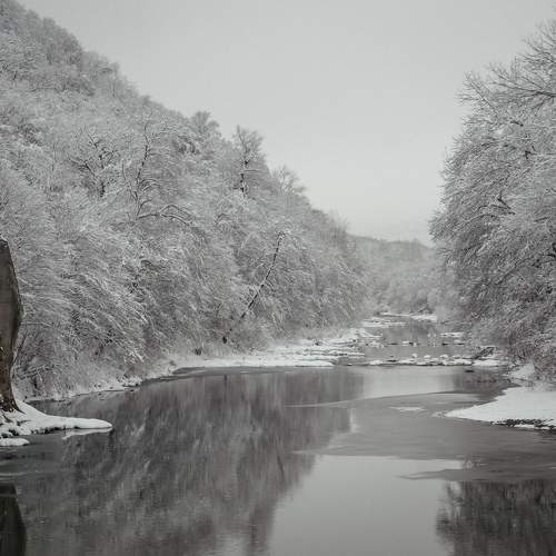 Photo #5640220