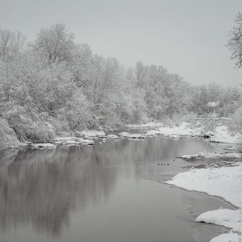 Photo #5640221