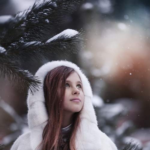 Photo #5640272