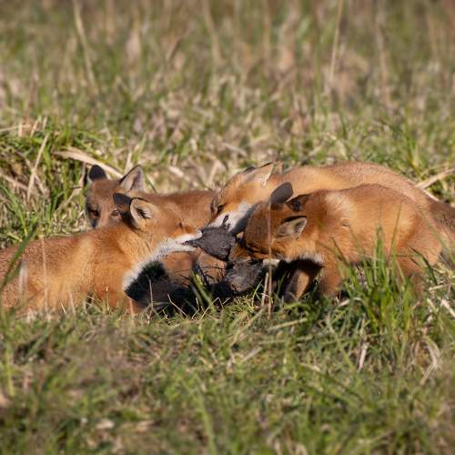 Photo #5640337