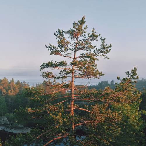 Photo #5640521