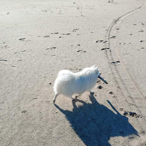 Photo #5640528