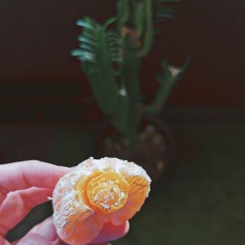 Photo #5640640