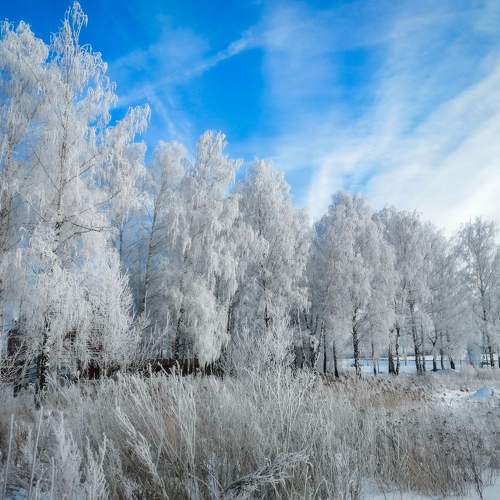 Photo #5641029