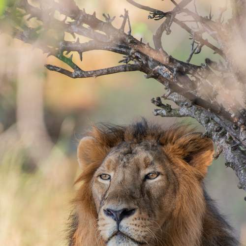 Photo #5641172