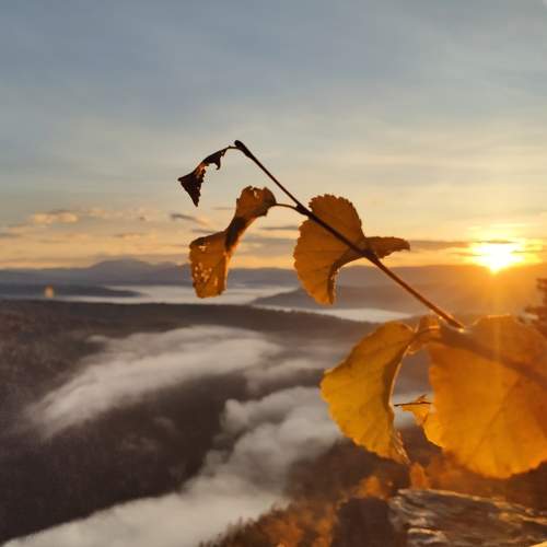 Photo #5641380