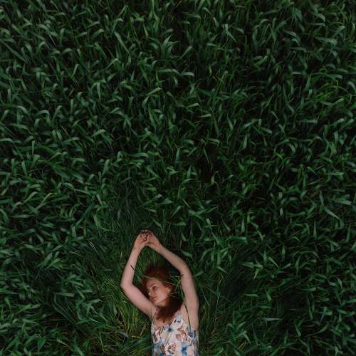 Photo #5641549