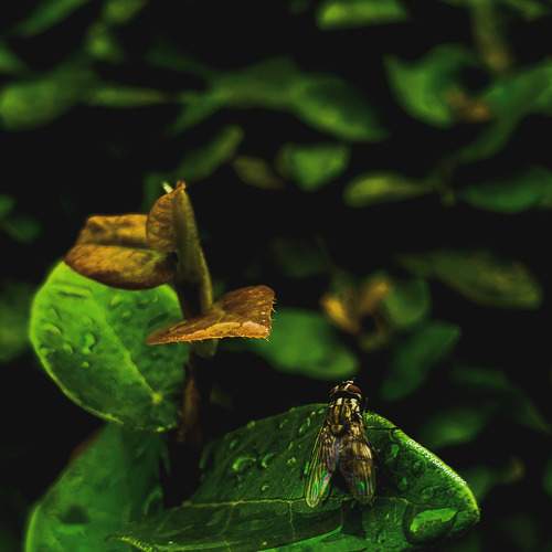 Photo #5641557