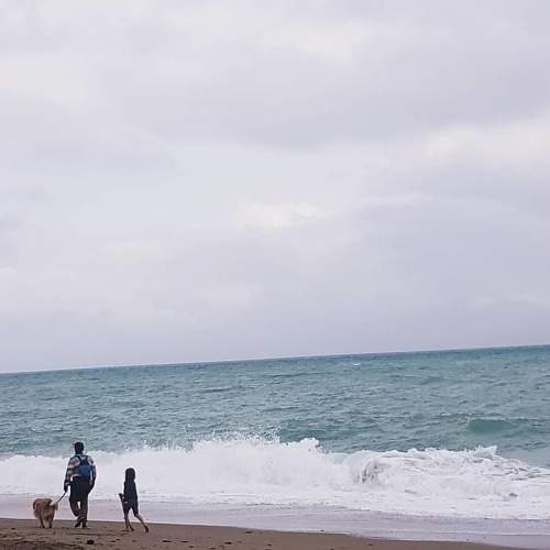 Photo #5641803