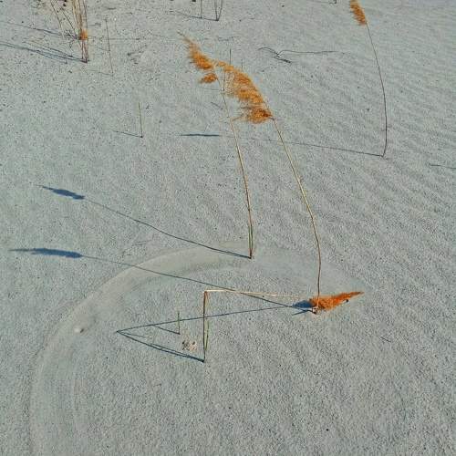 Photo #5641922