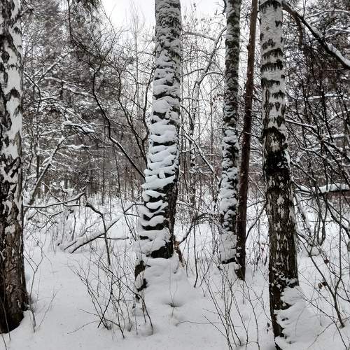 Уральская зима