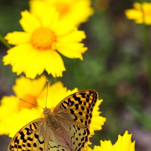 Photo #5642075
