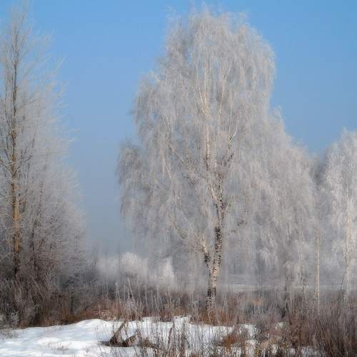 Photo #5642076