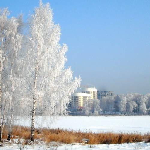Photo #5642077