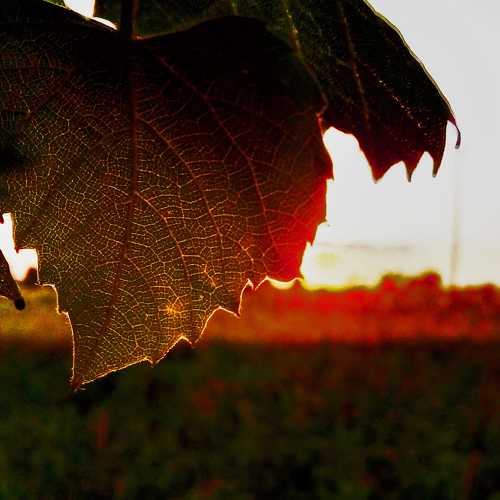 Photo #5642089