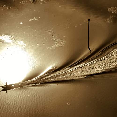 Photo #5642261