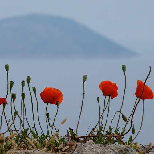 Photo #5642313