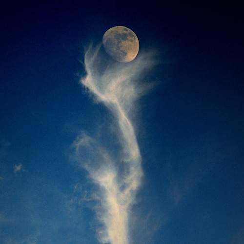 Photo #5642325
