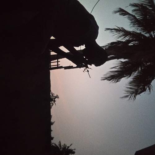 Photo #5642467