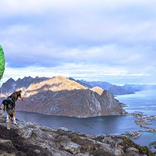 View Reinebringen Lofoten III