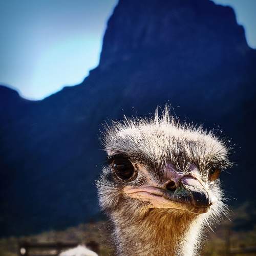 Photo #5643329