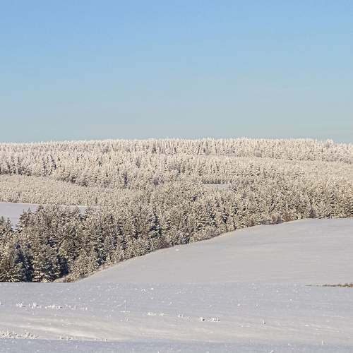 Photo #5643400