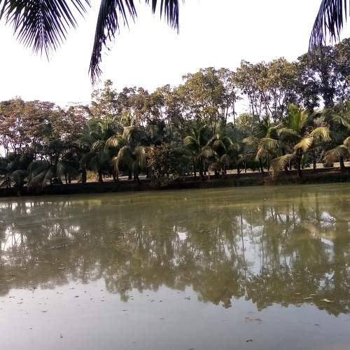 Photo #5643447