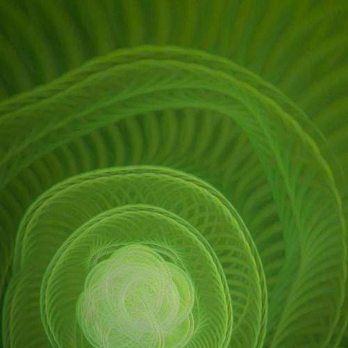 Photo #5643497