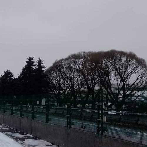 Photo #5643894