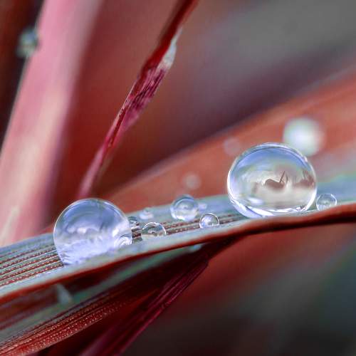 Photo #5644670