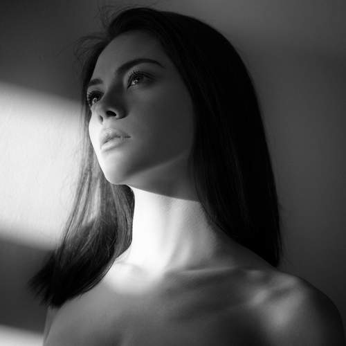 Photo #5645052