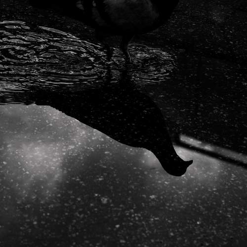 Reflection