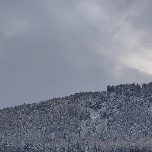 Photo #5645130