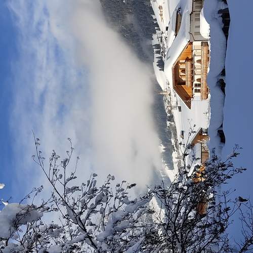 Photo #5645131