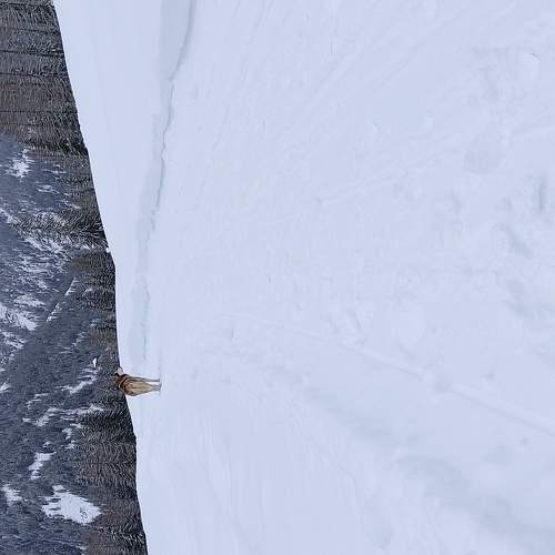 Photo #5645132