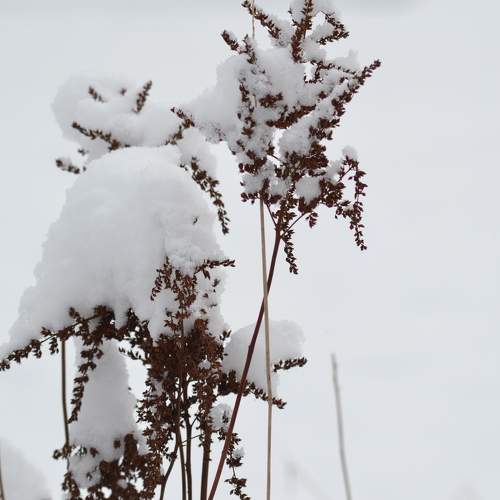 Photo #5645276