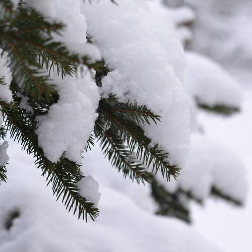 Photo #5645277