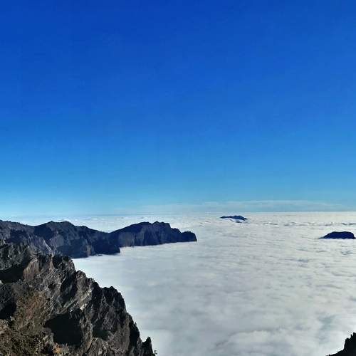Photo #5645292