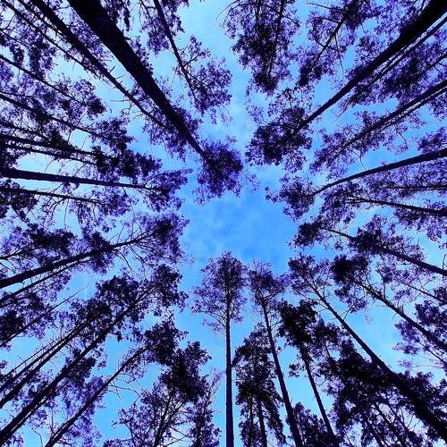 Photo #5645507