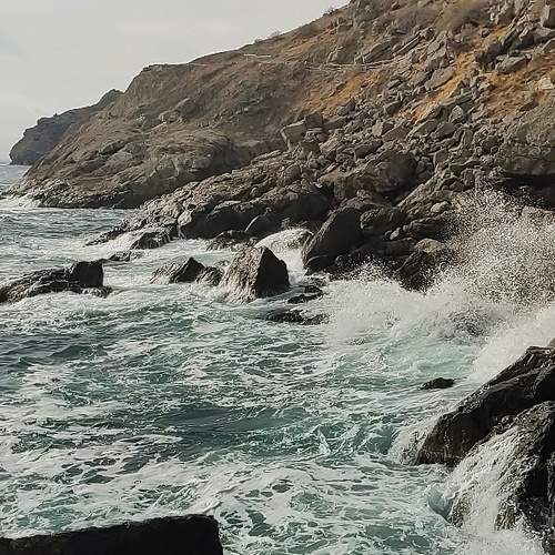 Photo #5645661