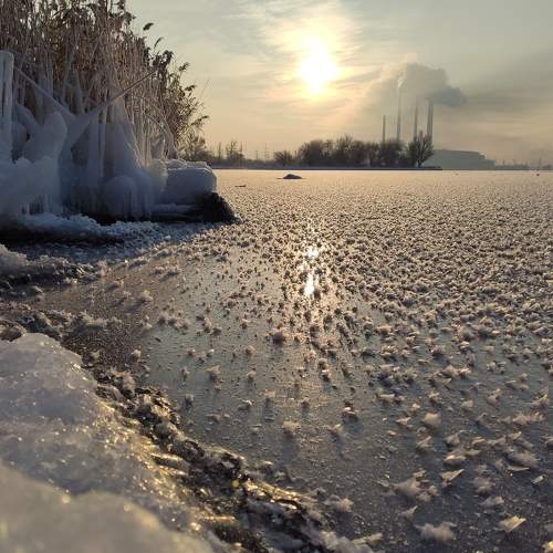 Photo #5645718