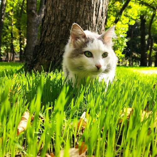 Photo #5645725