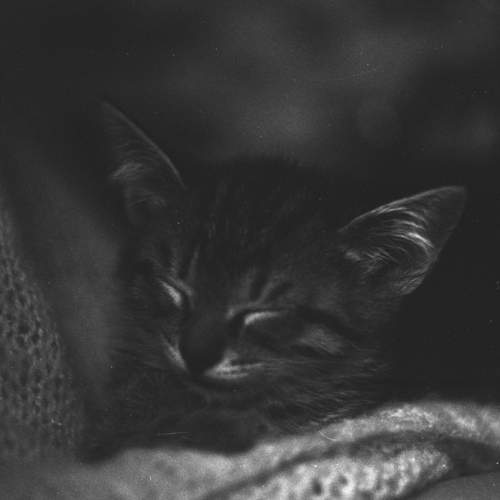 Photo #5646625