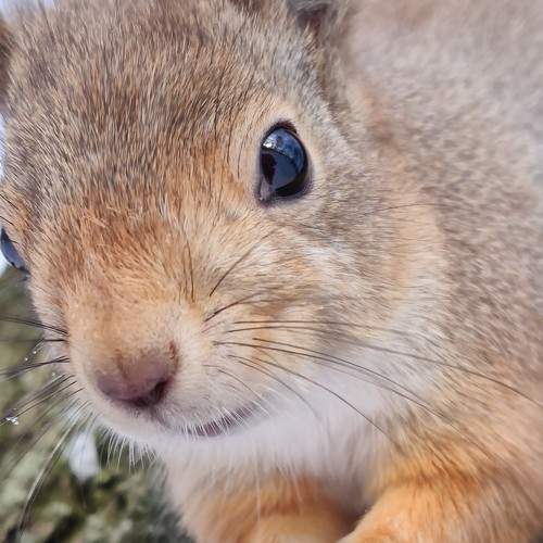 Photo #5646808
