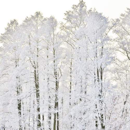 Photo #5647096