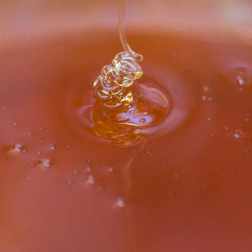 Photo #5647142