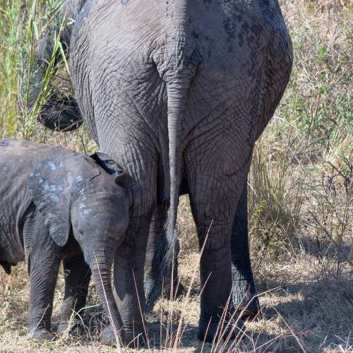 Photo #5647238