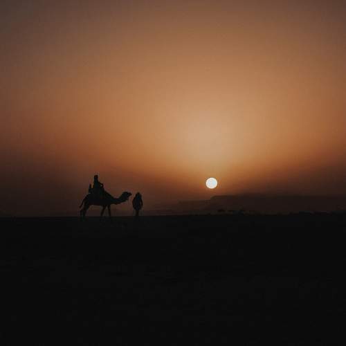 Photo #5647265