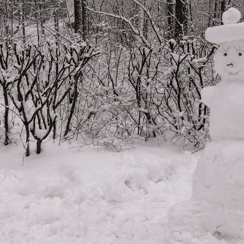 Photo #5647602