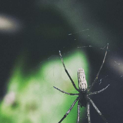 Photo #5647994